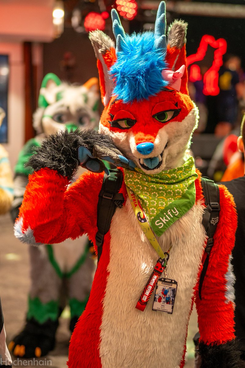 Thanks for photo @Hochenhainfoto UwU
#FursuitFriday #awoostria 💕