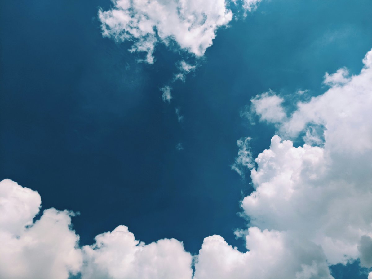 naturepictos's tweet image. Lost in the blues and whites of a perfect sky canvas. ☁️💙 #SkyGazing #CloudVibes