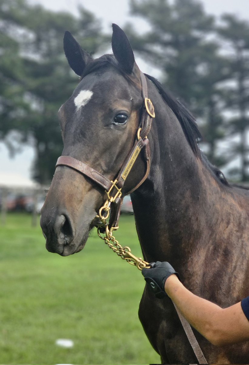 ⚜️ma-ro⚜️です みるまろ on X