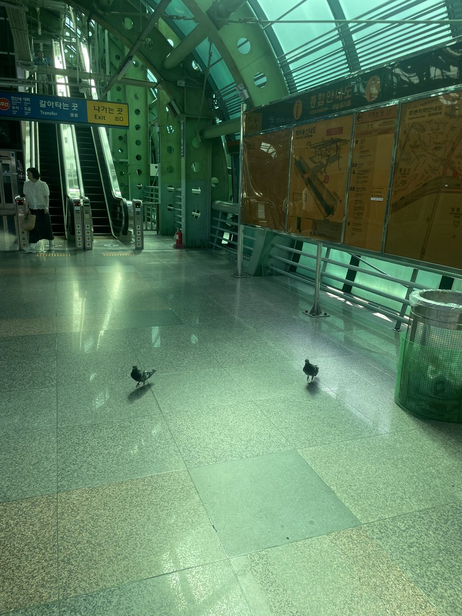 마초소녀 tweet media