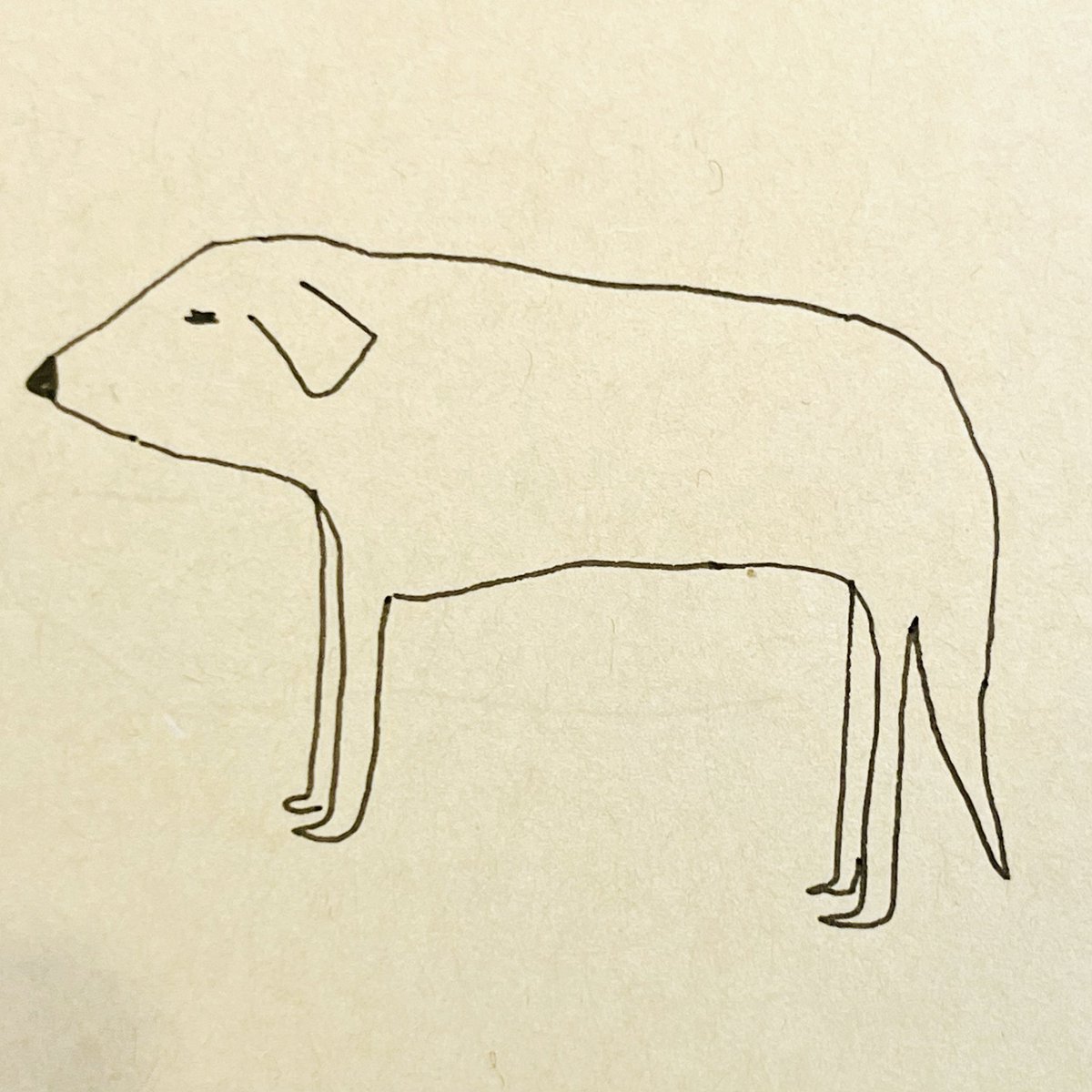 X開いた時一瞬こんな犬が映ったんだけど、勝手にタイムラインが更新されて消えてしまった。検索の仕方がわからず行方不明。平面的で可愛かったな。