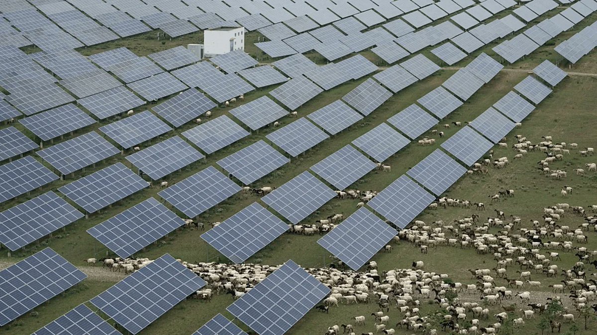 vaielettrico's tweet photo. #Panelli e pecore: in Tibet mega progetto contro la desertificazione.  Ci sarà pure l'impatto paesaggistico, ma si migliora il suolo 🌞🌞https://t.co/6vt35gVG4U https://t.co/Jl73mX3W4P