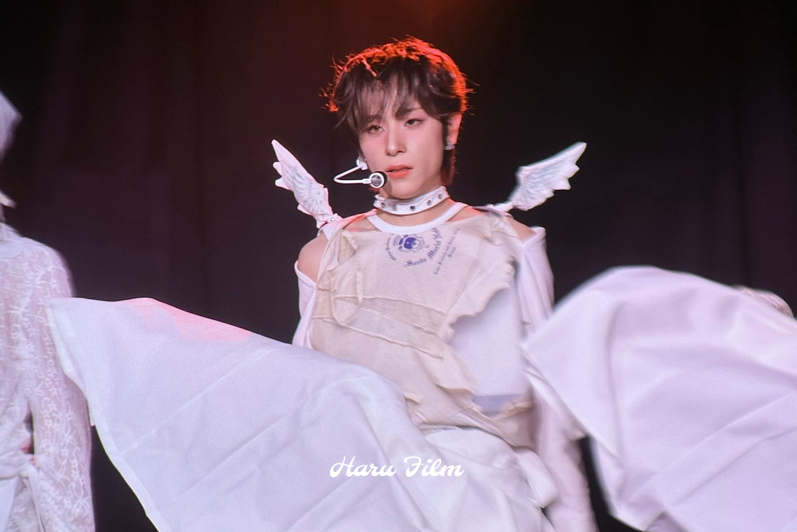 Haru - Search / X