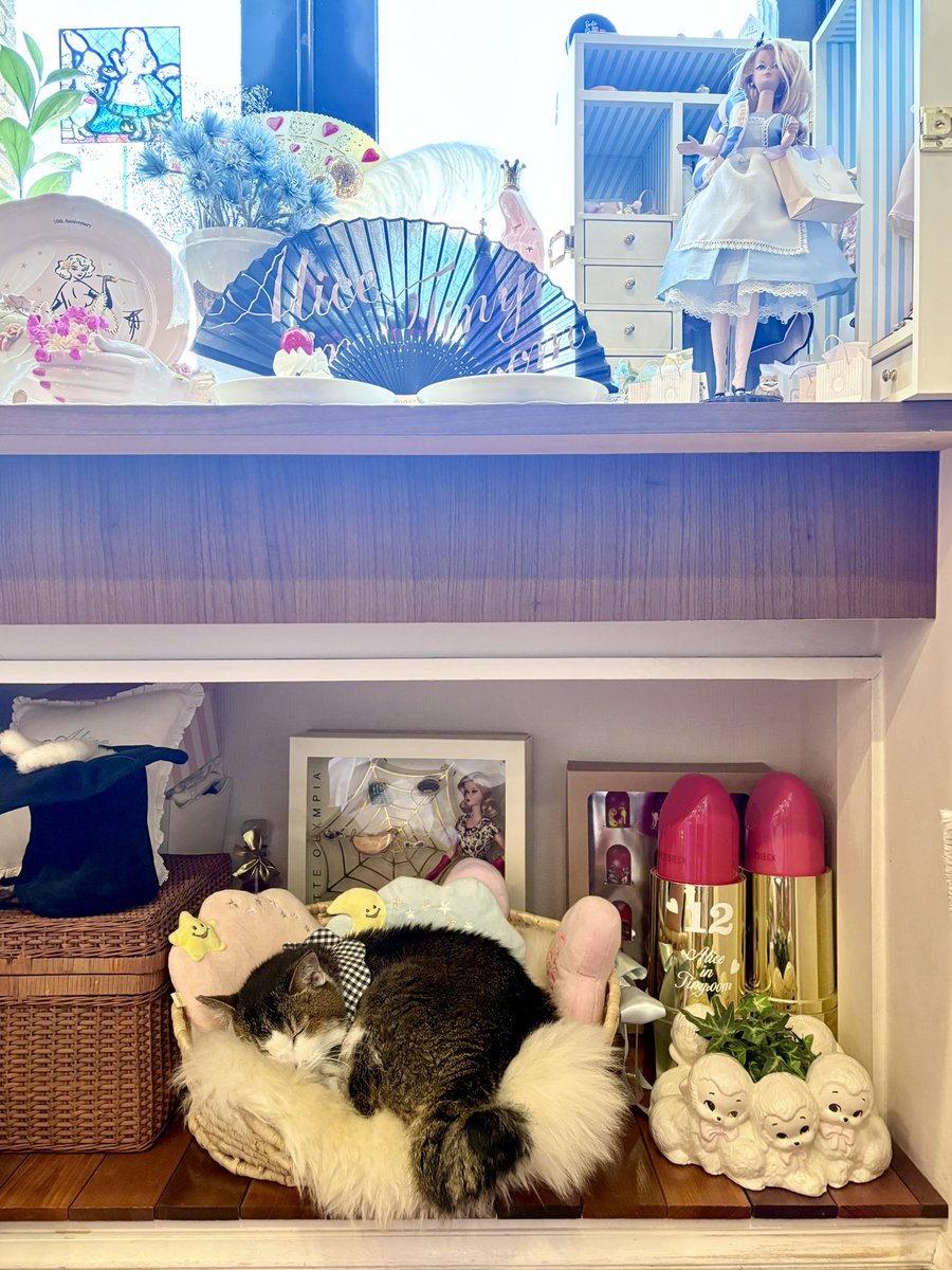 Alice in Tinyroom kitty ネックレス Alice in Tinyroom kitty ネックレス 2025年最新】alice in tiny