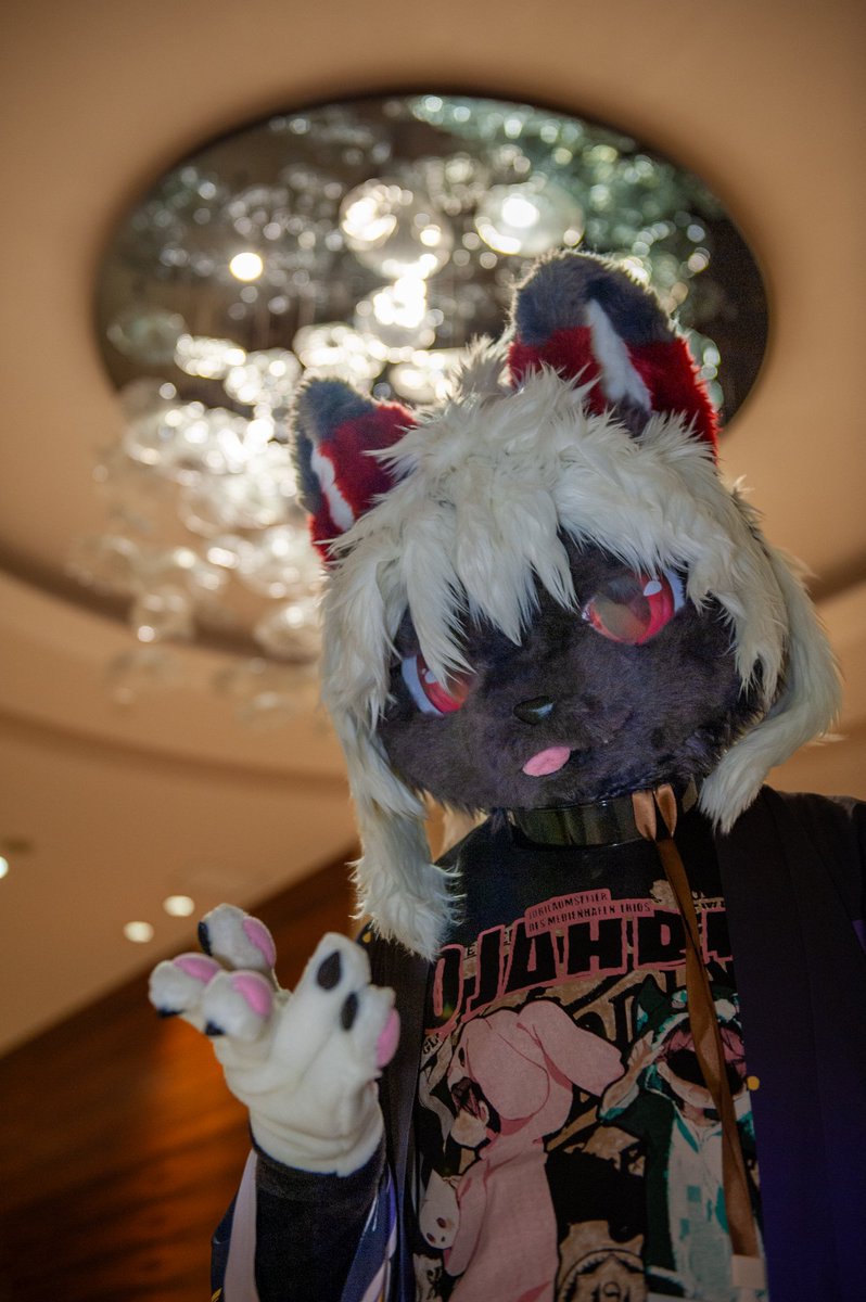 七夕是什么，我只知道终于有毛五可以发了呜呜 #FursuitFriday