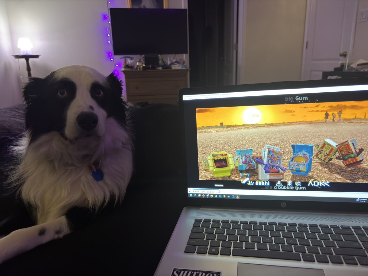 My dog
Kamen Rider
And a 64 degree house
What else does a growing boy need?