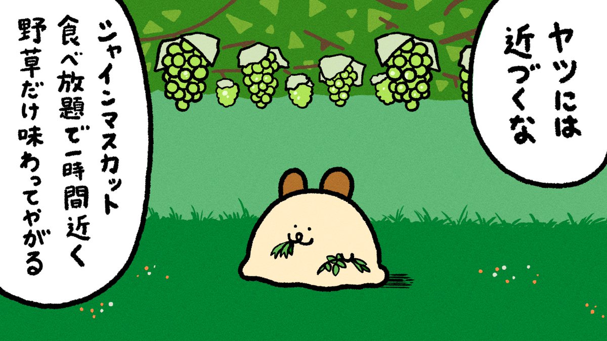 よいこのバニポテ (@yoikonobanipote) on Twitter photo 