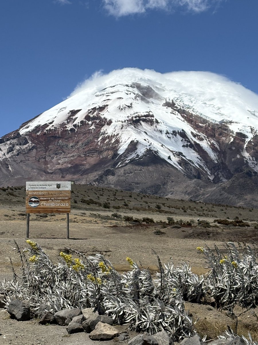 Grant Pope tweet media