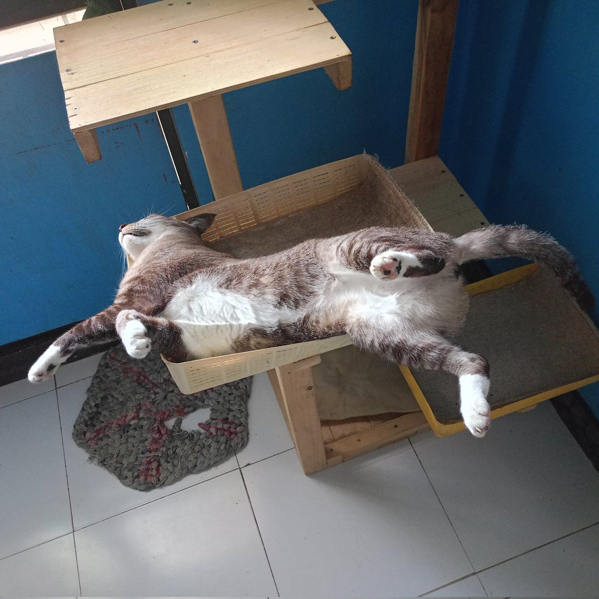 Flouk2010's tweet image. No art work today 😔