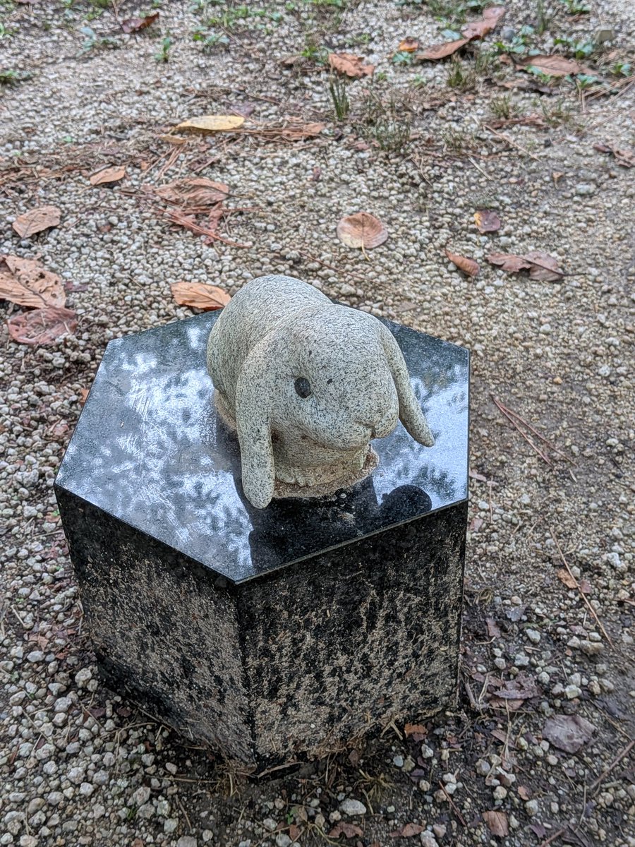 出雲大社はうさぎたくさんだった🐇