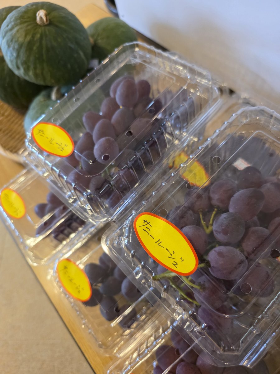 お待たせいたしました！(*｀･ω･)ゞ
ついにぶどうが入荷です！
生産者さん曰く、今年は進みが早くてすぐ終わっちゃうかも…🥲とのこと。
私、今のうちにたくさん食べよう🤤と心に決めました🔥健康診断あるけど…きっと大丈夫…きっと…(笑)
皆様も紫波町の旬！美味しい🍇ぜひどうぞ！