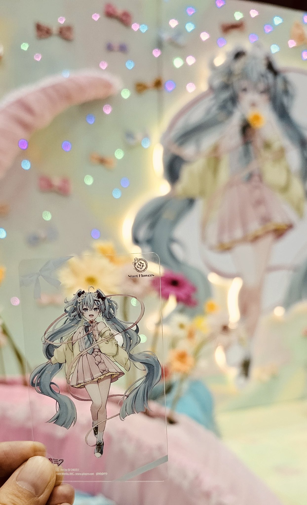Start Flowers on X: 