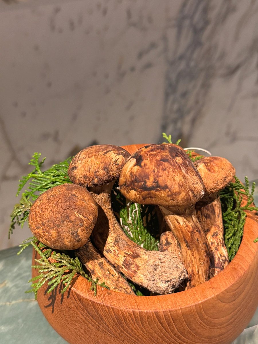 Juzao ‍Singapore ​invites ᠎you  to ​slow  down ᠎and  sharpen ᠎your ​palate.  From  starter freshness  to ‍the  depth ‍of  mains, ᱸeach bite  is ‍a  slow ‍exploration  of  the ‍city.