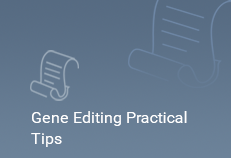 🪩Master CRISPR/Cas9 knock-in cell lines! From sgRNA design to HDR optimization with EZ-HRex™ (84% efficiency). 🌈Boost precision medicine: ubigene.us/application/cr…
#CRISPR #KnockIn #GeneEditing #kicell #knockincell #crisprknockin #science #research #Biology