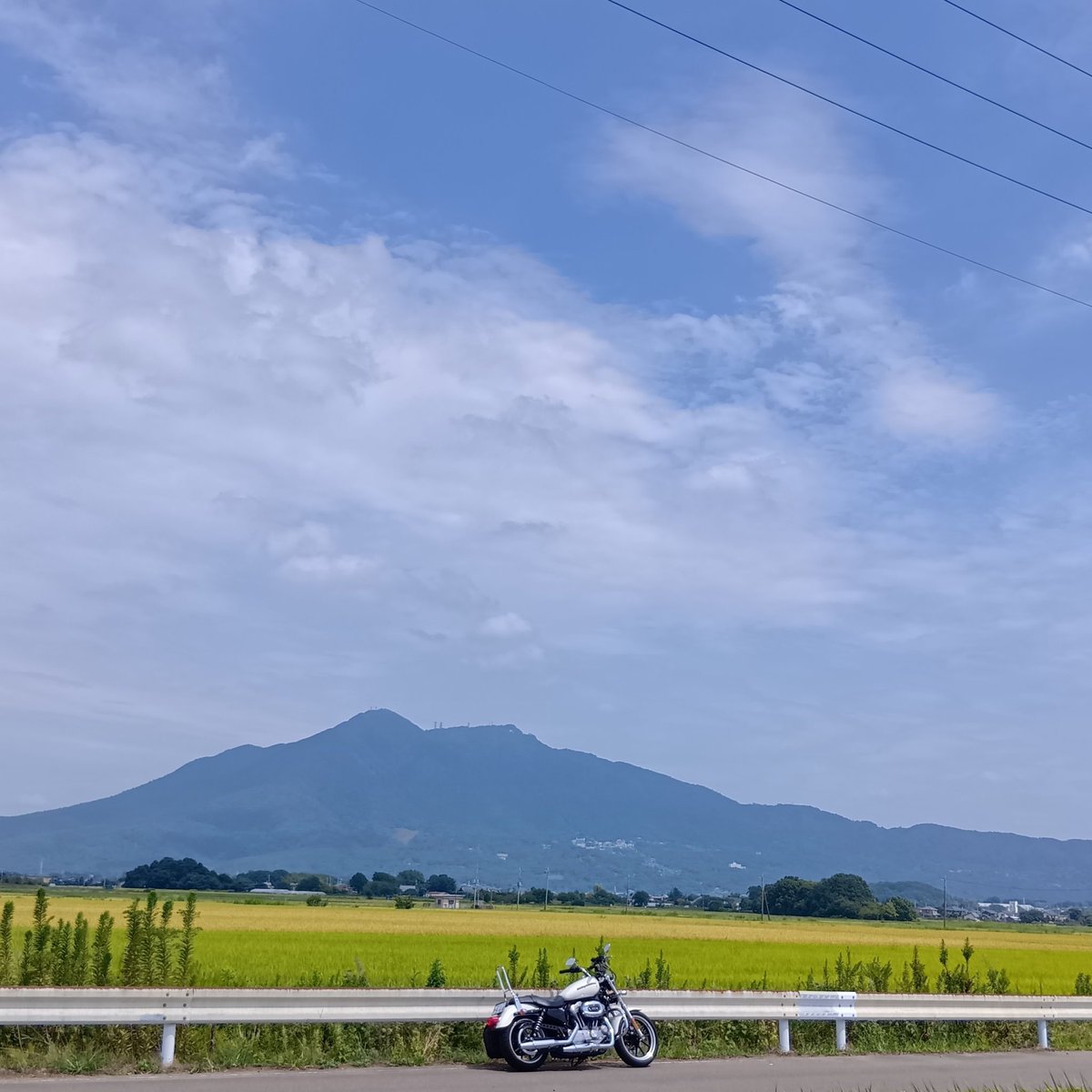 風景画【筑波山】F10号 Amazon.co.jp: 風景画筑波山F10号 : ホビー