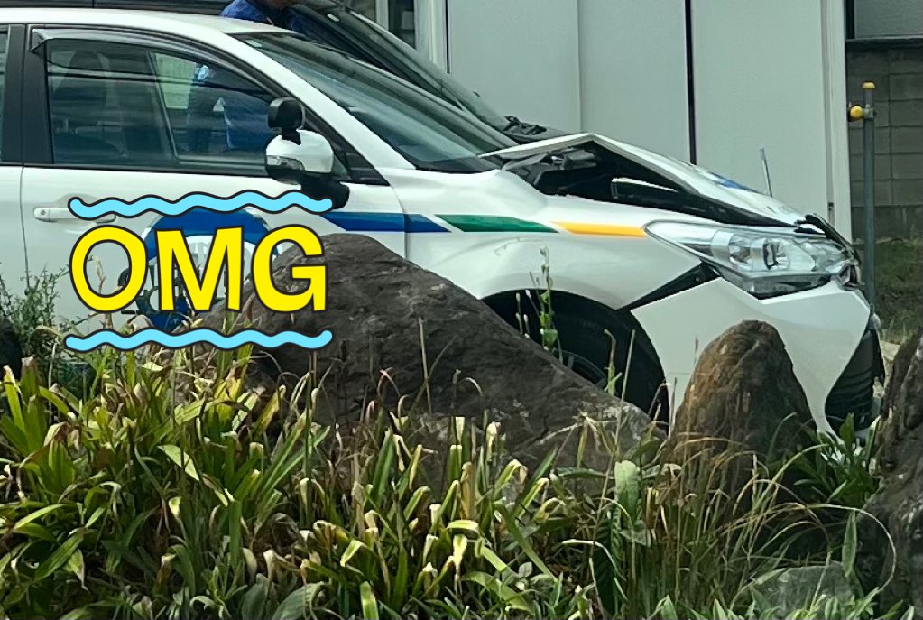 HOTTY(堀田享) tweet media