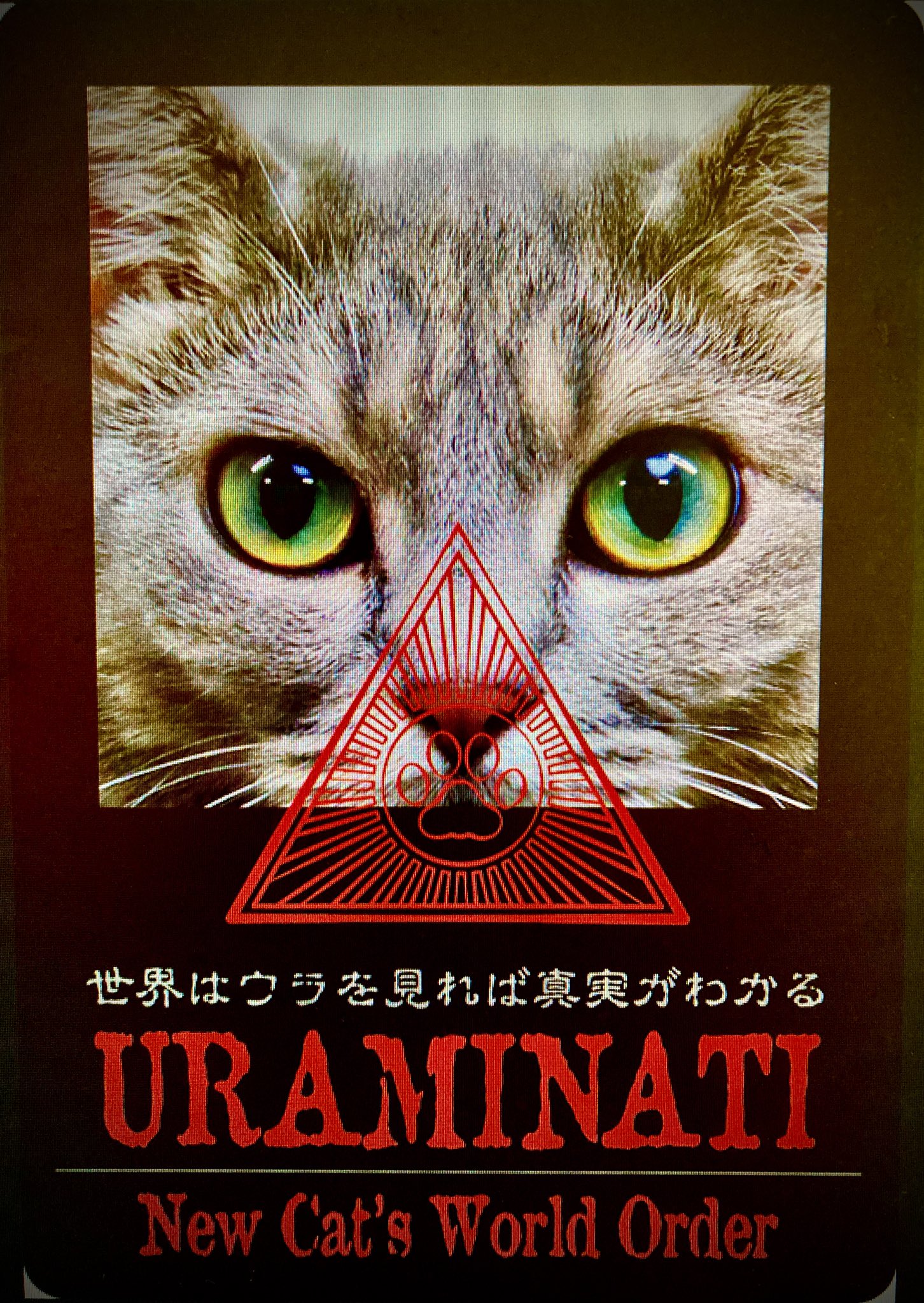 ︎山本 正義 (Masayoshi Yamamoto)立ち猫®︎ (@nekoiroiro) / X