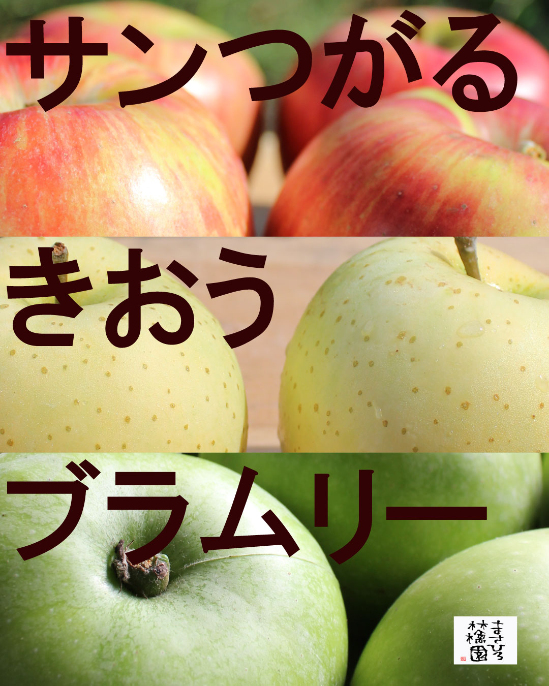 りんごさん専用 りんごさん専用
