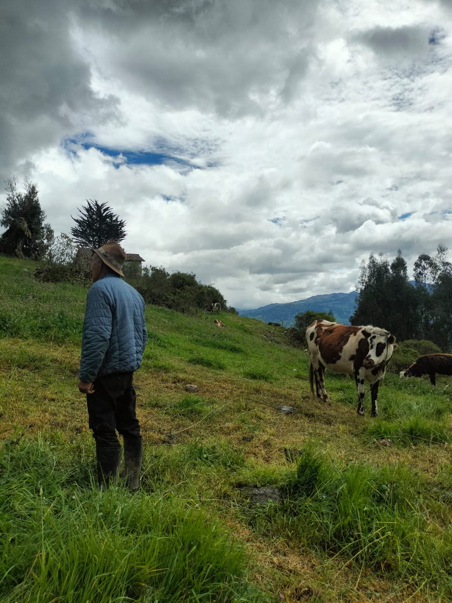 FEDEGAN PAIPA tweet media