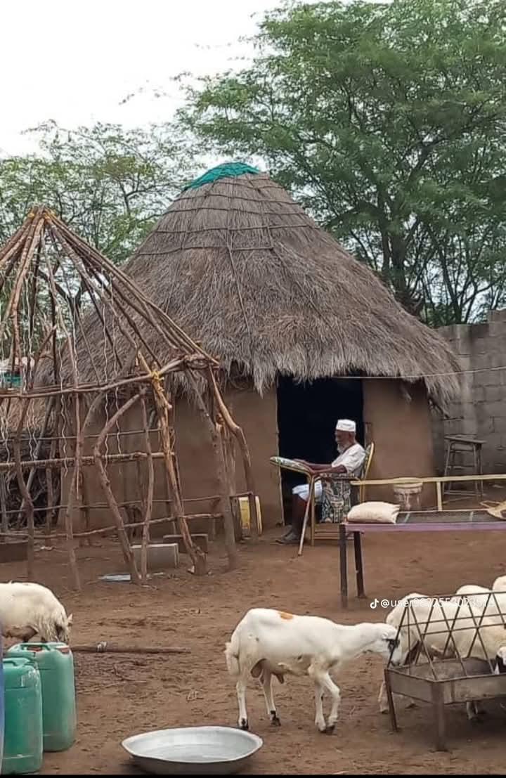 #يوم_من_الماضي_بالباحه
#تهامة 
" و همستُ يا دُنياي في القلب
    الذي هدته أمواج السنين

    و سألته ... مازلت تنبض ...؟؟؟ 
     قال .... مازال الحنين ...!!!
#صباح_الخير_والسعاده 
#صباح_الخيرᅠ