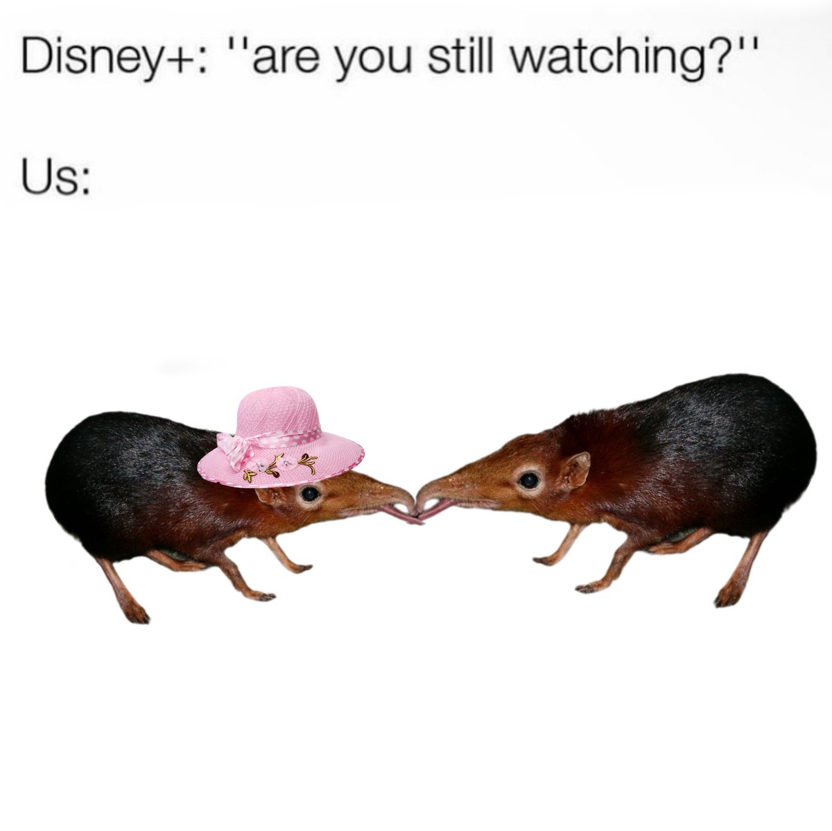 <a href="/evaedxn_/">eva edxn</a> Don't forget to find your soulmate while pursuing friendship. 🌹