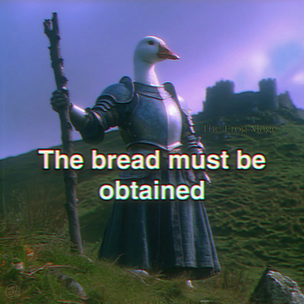 The Frog Mage (@the_frog_mage) on Twitter photo 