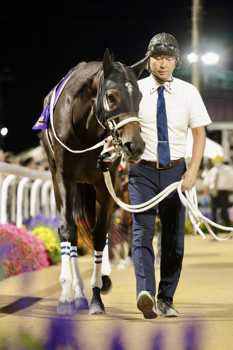 ka_co18's tweet image. 🐎🫶🏻🫶🏻✿¨̮
#ダブルハートボンド
#ブリーダーズGC