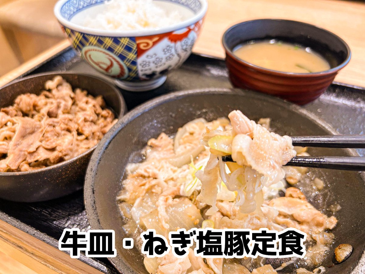 激レア‼【未使用】 べるーにゃ✖吉野家オリジナル丼ぶり&レンゲセット