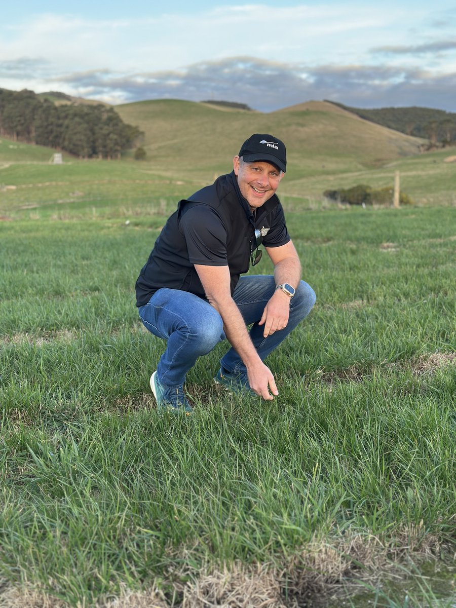 Grassland Society tweet media