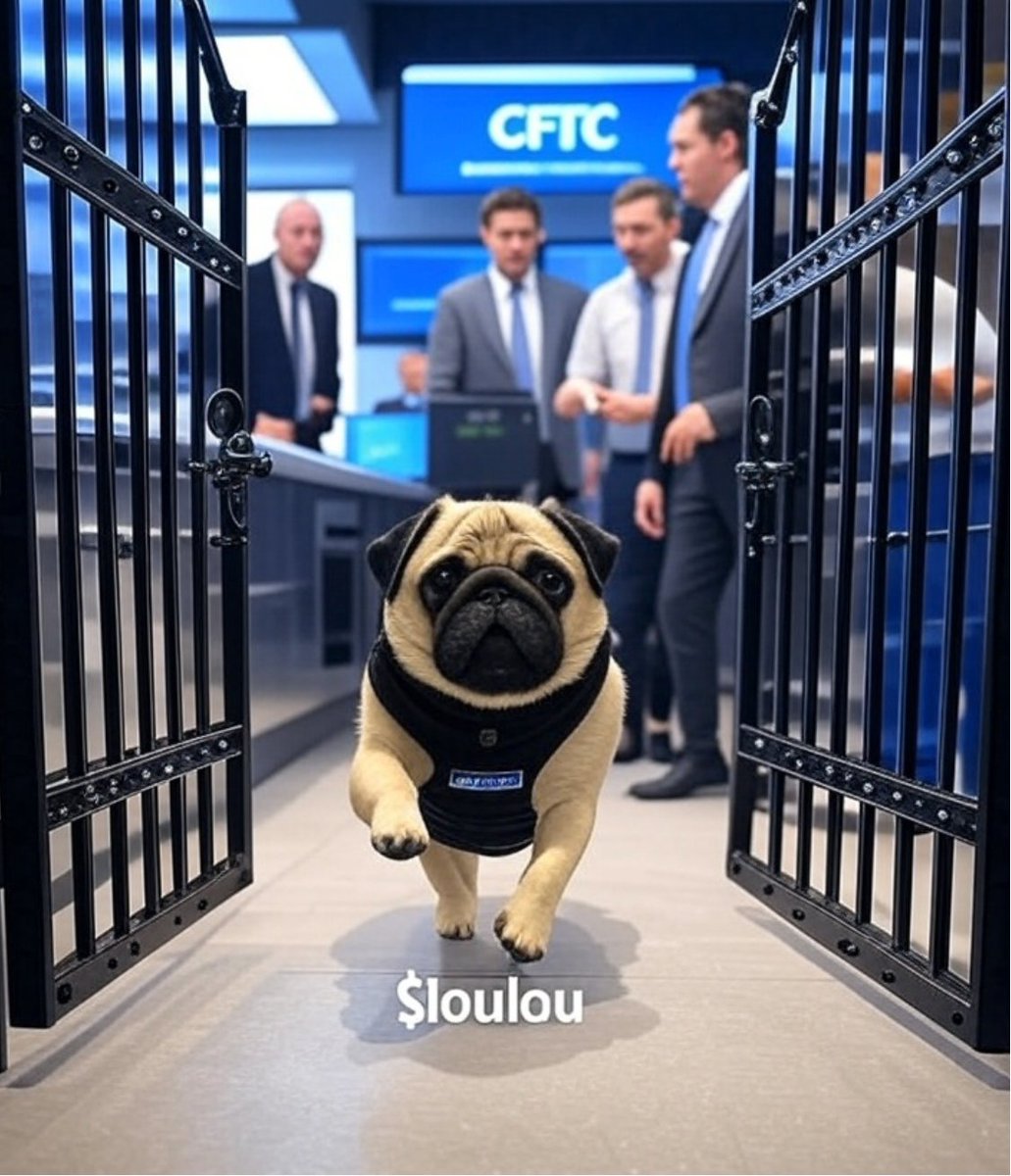 The CFTC is allowing US traders to access overseas exchanges. The door is open.

I've opened the kitchen door, too.🐶
#CryptoAccess #loulou #Crypto #CFTC