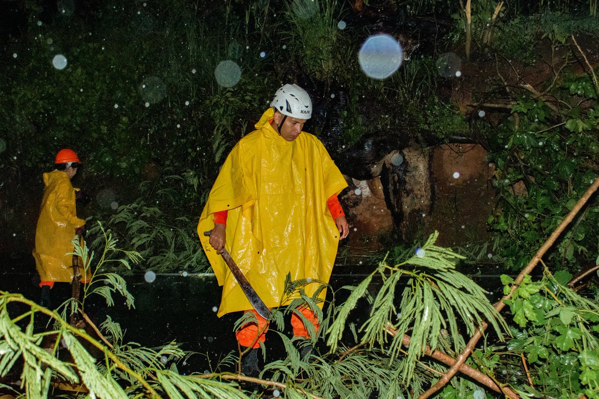 🚨Efectuamos labores de corte y remoción de árbol colapsado sobre la 📌 Carretera Panamericana, km 72, caserío Valle Nuevo, San Vicente Sur.
🚧Vía restablecida para garantizar la seguridad vial. Emergencias 📞9️⃣1️⃣3️⃣🚒💨 #PlanInvierno2025☔