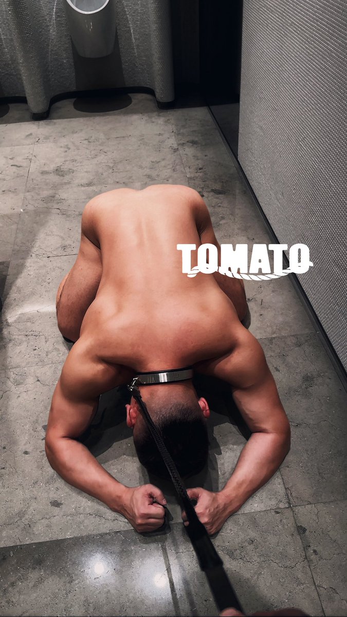 番茄🍅Tomato tweet media