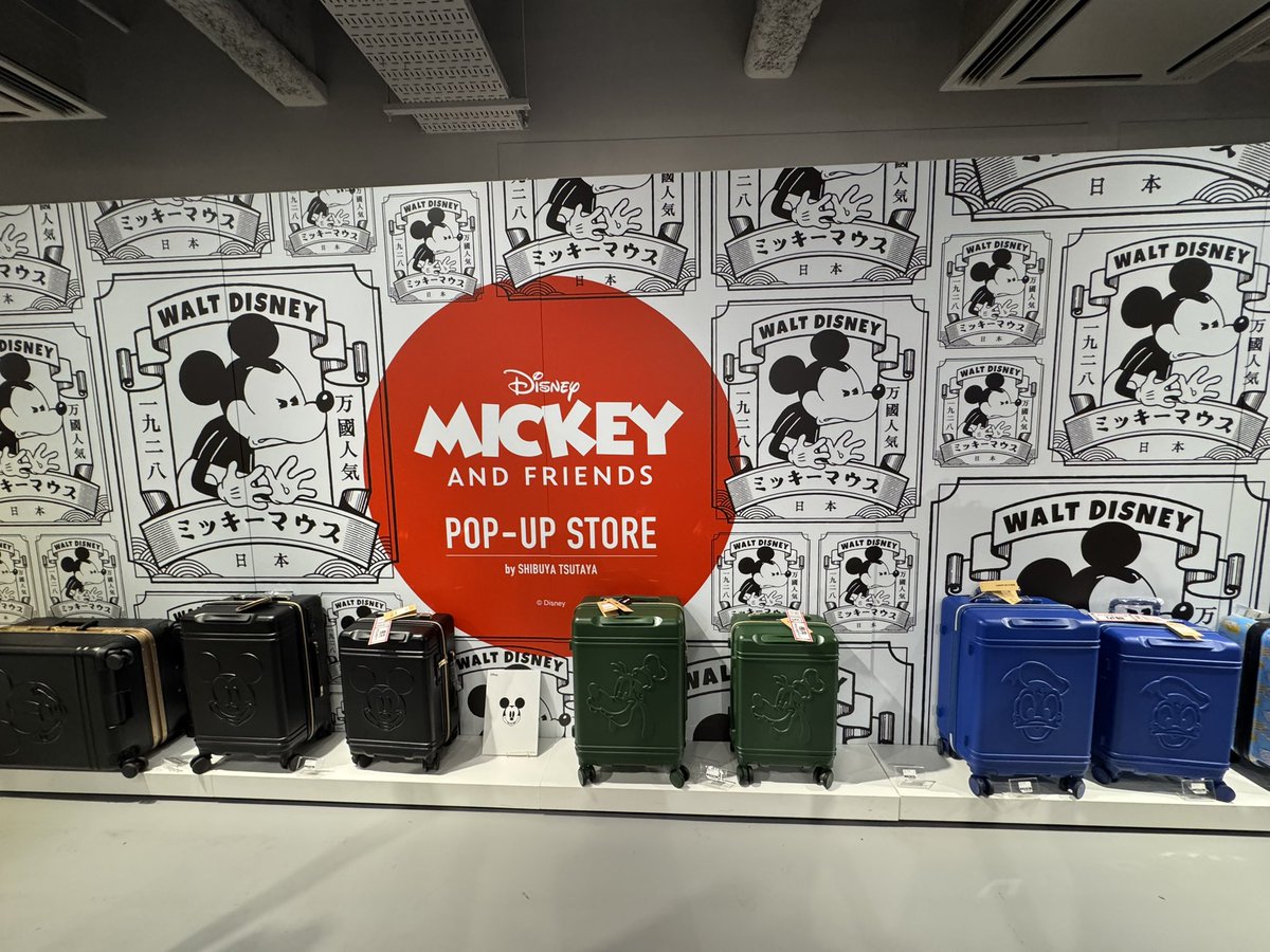 シブツタのPOPUP装飾変わってるぁぁぁ!😭✨
大好きな和ミッキーが壁にでかでかと…!!かわいすぎる😭 
