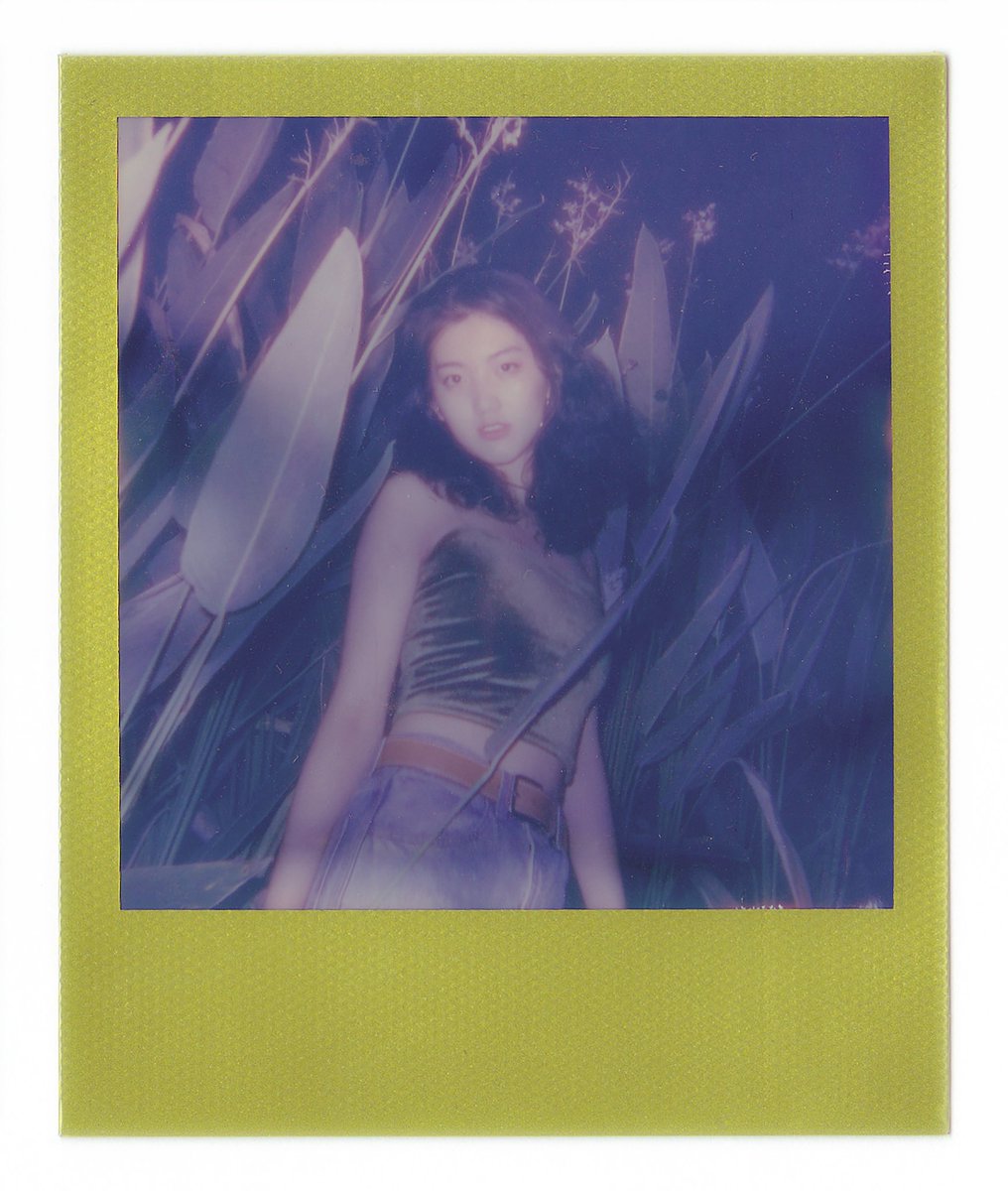 fuji_master_'s tweet photo. 宝，是丽来
#polaroid https://t.co/cWsqCVvJ3P