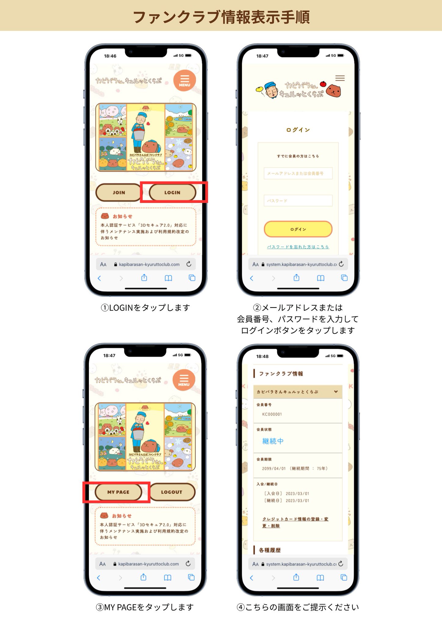 カピバラさん　ウォールキャンバス　チダケイコ　直筆サイン入り　20th カピバラさん ウォールキャンバス チダケイコ 直筆サイン入り