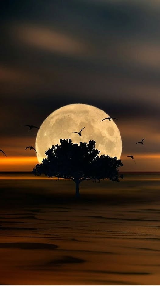 MadQueenStorm's tweet image. Good night Madsters 🥱😴💤 #peacefuldreams