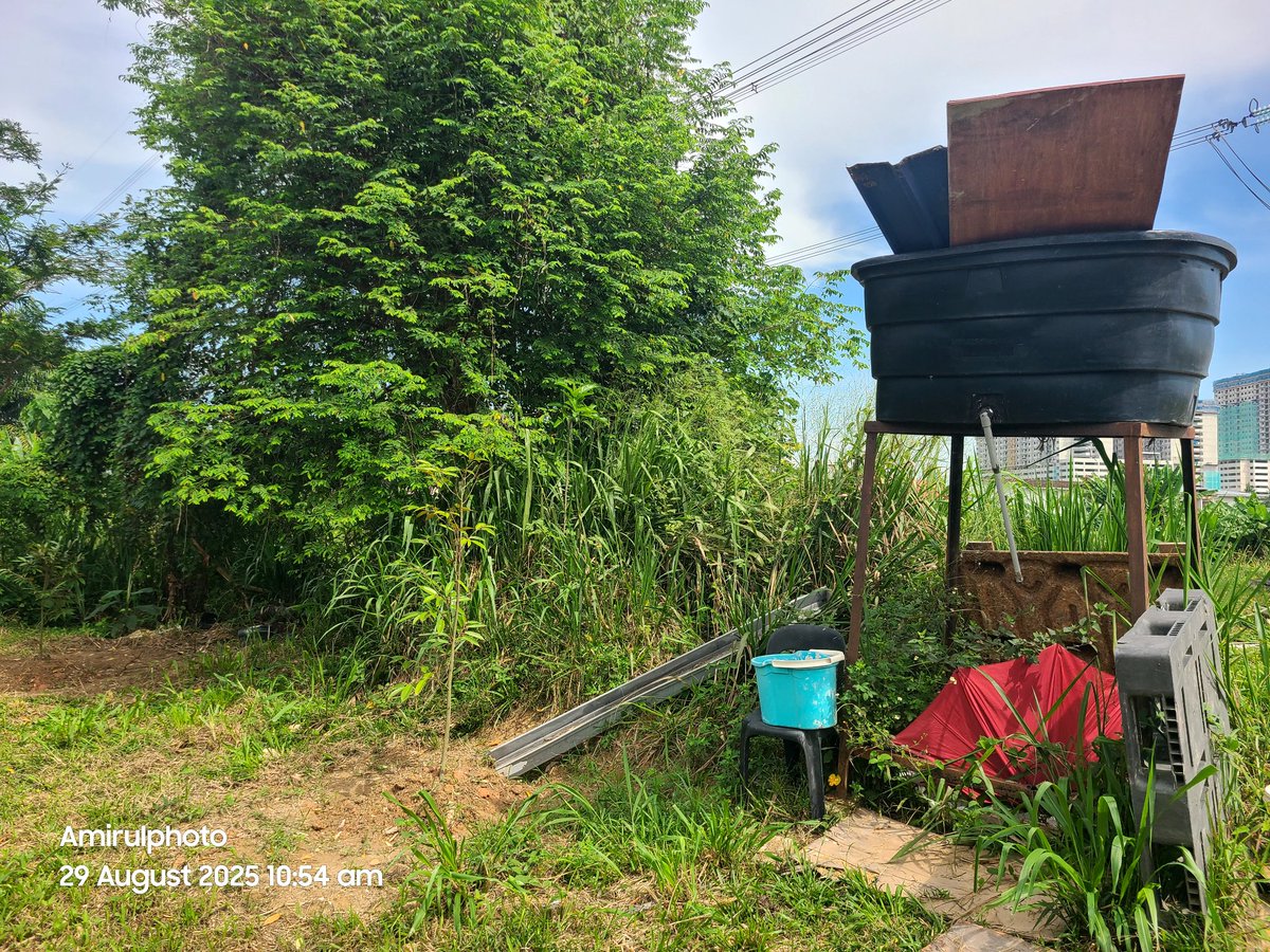 Alhamdulillah di hari Jumaat yg mulia ini. Ada seorang abang yg baik hati untuk tawarkan tapak sewa buat stray meow...