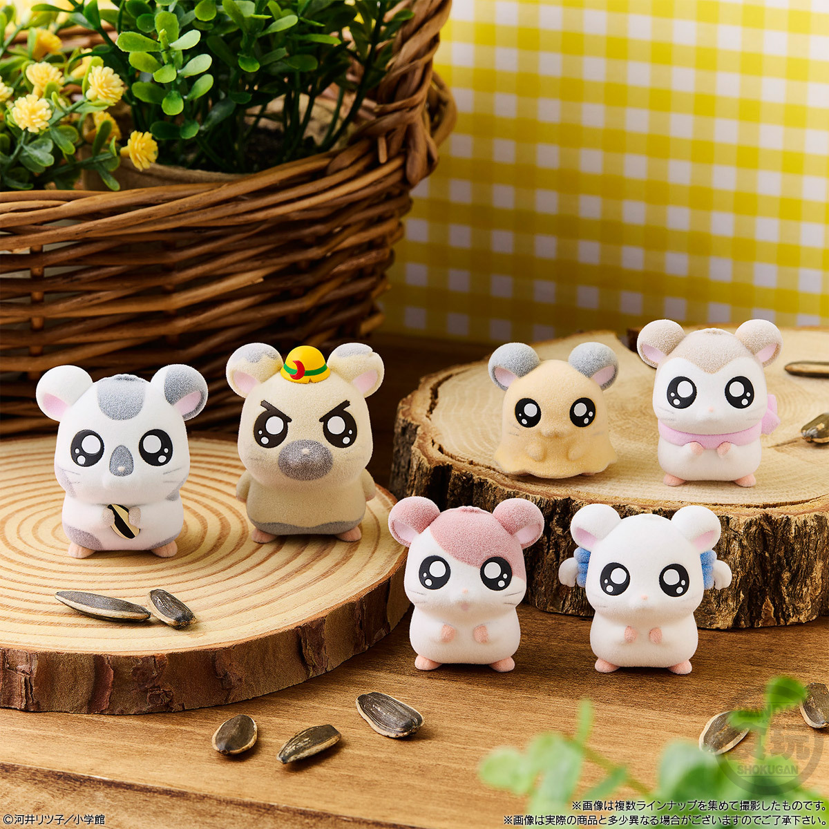 GzfRYrZaUAAqqXr.jpg?format=jpg