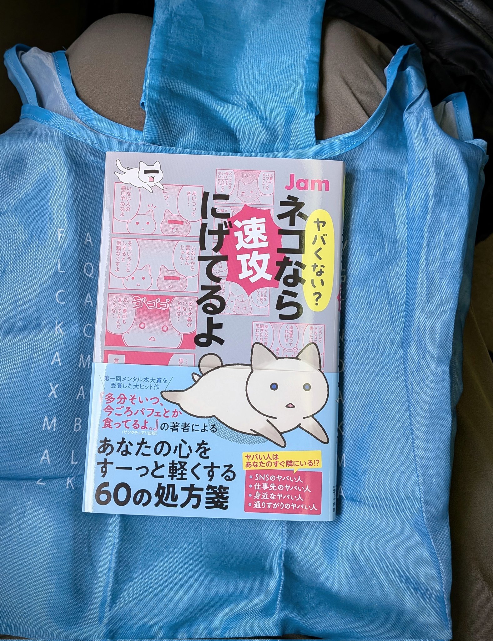 猫の絵　いい匂いシリーズ hw-008.jpg