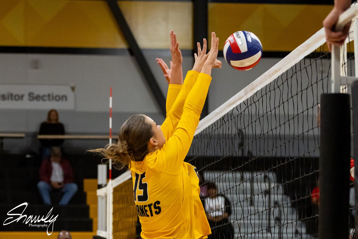 ShawleyPhoto tweet media