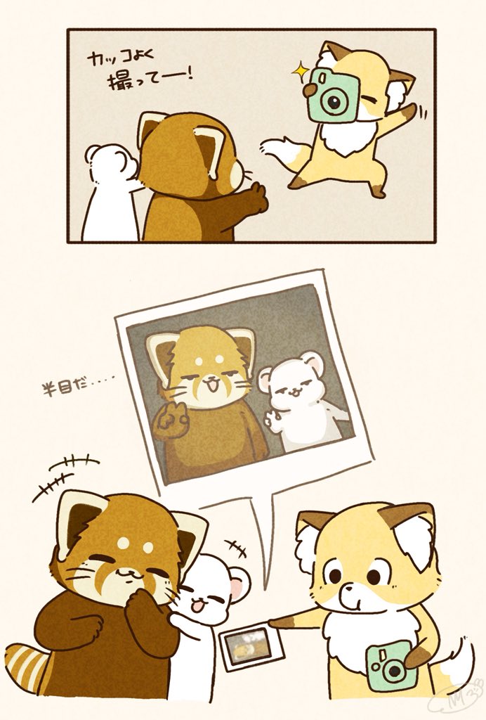 ✌️(≖ω≖) 