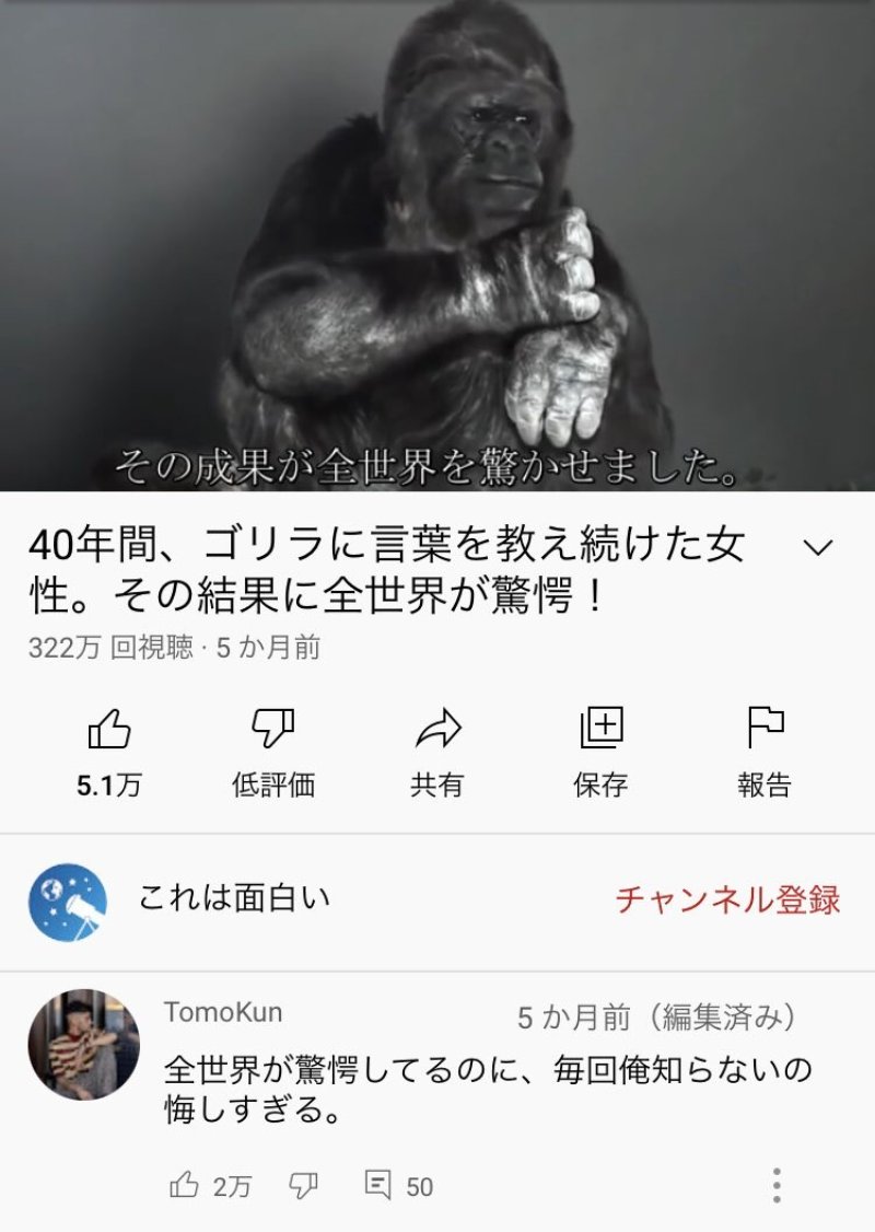 𝕐ouTube迷コメント集 tweet media