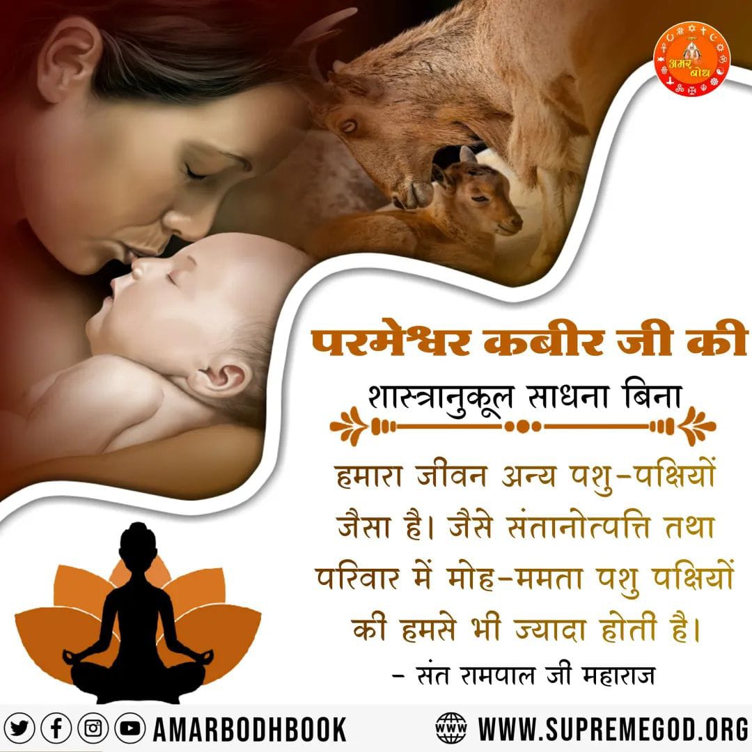 #GodMorningFriday
#गोबर_गणेश_छोड़ो_आदिगणेश_पूजो
परमेश्वर कबीर जी की
शास्त्रानुकूल साधना बिना
हमारा जीवन अन्य पशु-पक्षियों जैसा है। जैसे संतानोत्पत्ति तथा परिवार में मोह-ममता पशु पक्षियों की हमसे भी ज्यादा होती है।

- संत रामपाल जी महाराज

Visit Sant RampalJi YtChannel