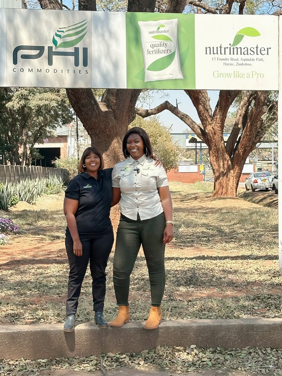 agribusiness110's tweet image. ✅✅✅The Soyneans production season with Nutrimaster 
1.Soil testing analysis , results and recycling = 55usd per sample over 5 working days 
2.Inoculant: Liquik 
3.Herbicides
4.Fungicides 
5.Foliar Fertilizers 
6.Soyablend and top dressing