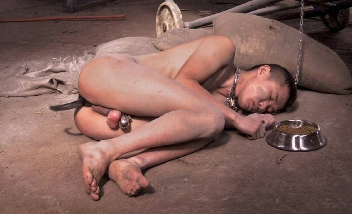 Since I decided to accept myself as the dog I always was, I began to feel free and natural. I love to bark, I love to run and walk on all fours, I love to be naked and wag my tail while panting, I like to play with other dogs. Now I am a dog 🐾🐶