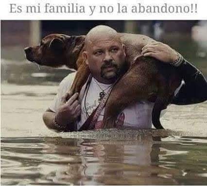 La familia no se abandona jamás.!. 🐶🐾👏👏🌾🕊️💞❤️