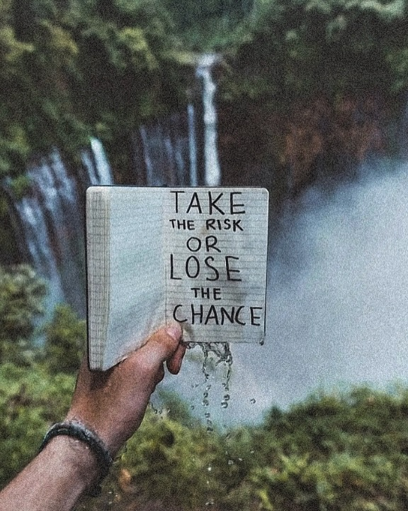 SainaTan25187's tweet photo. TAKE THE RISK OR LOSE THE CHANCE https://t.co/T0Y0qC4D3S