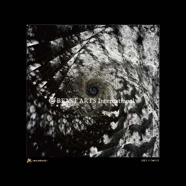 4枚 GISM BEAST ARTS シルクスクリーンポスター 4枚 GISM BEAST ARTS シルクスクリーンポスター Amazon.co.jp: 4