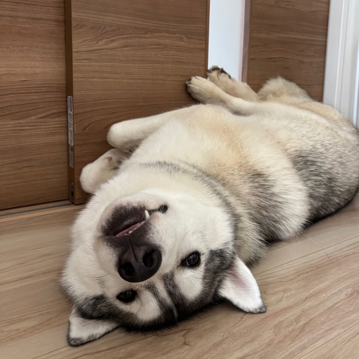 歯見せちょベロ（レベル★★★★★★★）