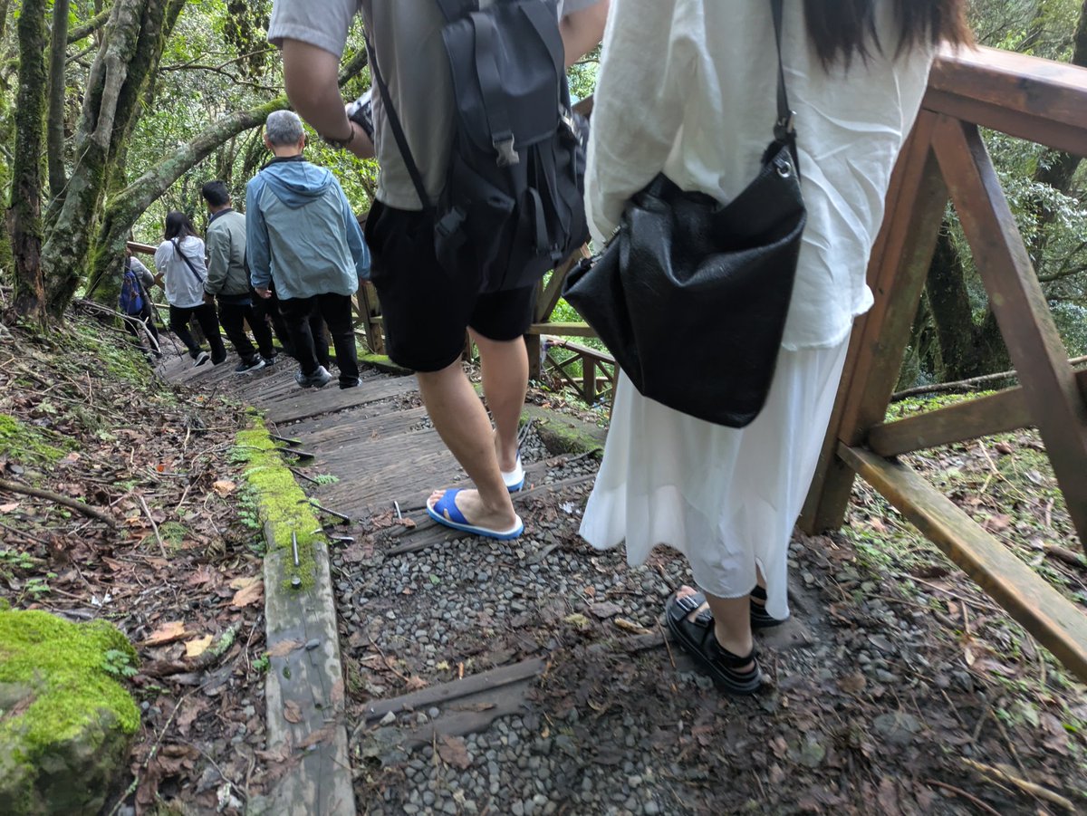 阿里山裡早起看日出后阴湿山路上遇到的藍白拖仙人。